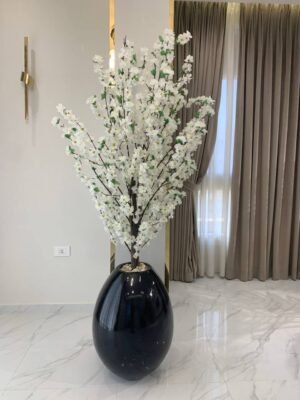 مشمش كبير
