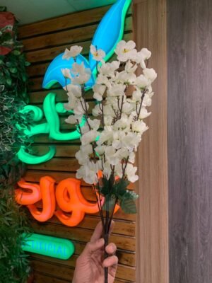 مجموعة مشمش ٩ فرع