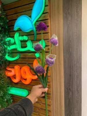 فرع ديكو خماسى