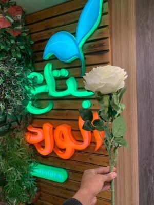 فرع بلدى جامبو لوكس