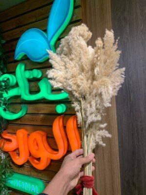 مجموعة هيش لوكس