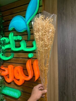 مجموعة جبسفيل طبيعى