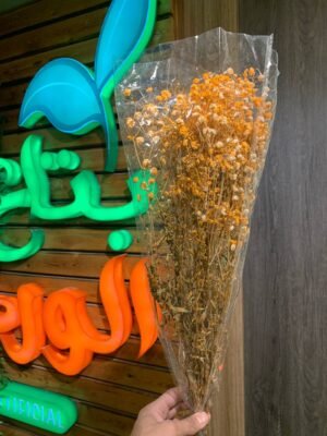 مجموعة جبسفيل طبيعى II