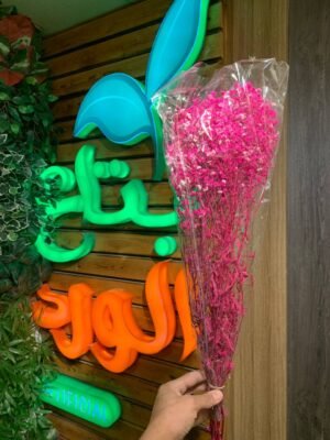 مجموعة جبسفيل طبيعى IV