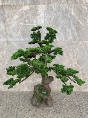 بونساي بريميوم