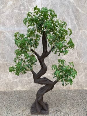 بونساي زجزاج ٥ هد