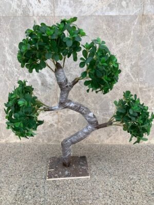 بونساي ميني فايبر II