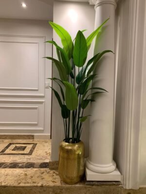 عصفور جلد كبير بوت المونيوم