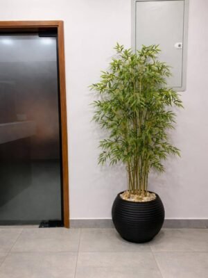 بامبو جلد طبيعي بوت اكرلك