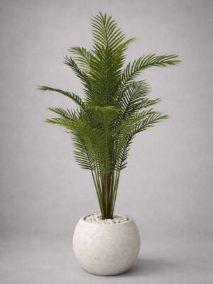 نخله جلد كبير كثيف