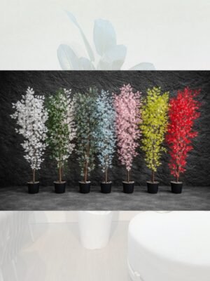 بنجمينا ملون