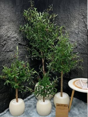 شجر الزيتون شامل البوتات