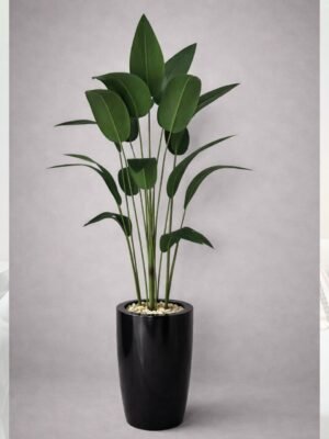 عصفور جينز بوت فايبر ٢ متر